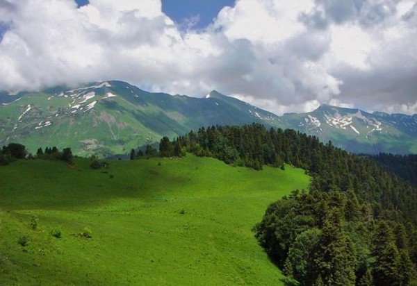 Image of Sochi National Park